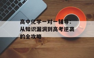 高中化学一对一辅导：从知识漏洞到高考逆袭的全攻略