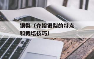 银梨（介绍银梨的特点和栽培技巧）