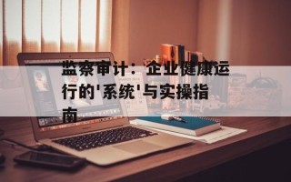 监察审计：企业健康运行的'系统'与实操指南