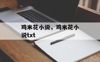 鸡米花小说，鸡米花小说txt
