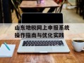 山东地税网上申报系统操作指南与优化实践