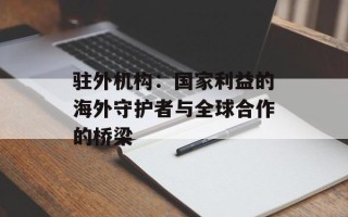 驻外机构：国家利益的海外守护者与全球合作的桥梁