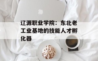 辽源职业学院：东北老工业基地的技能人才孵化器