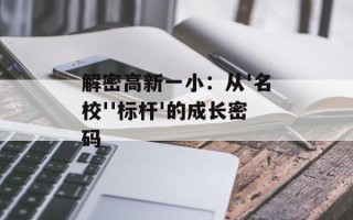 解密高新一小：从'名校''标杆'的成长密码