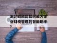 湖北财税网如何成为企业财税管理的智能助手？