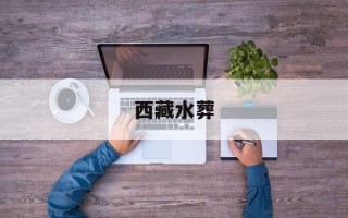西藏水葬