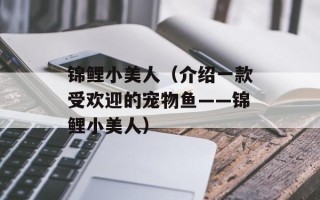 锦鲤小美人（介绍一款受欢迎的宠物鱼——锦鲤小美人）