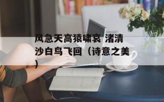 风急天高猿啸哀 渚清沙白鸟飞回（诗意之美）