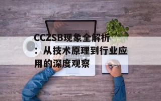 CCZSB现象全解析：从技术原理到行业应用的深度观察