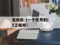 龙向京（一个优秀的IT工程师）