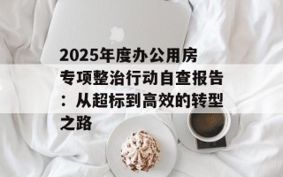 2025年度办公用房专项整治行动自查报告：从超标到高效的转型之路