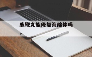 鹿鞭丸能修复海绵体吗，