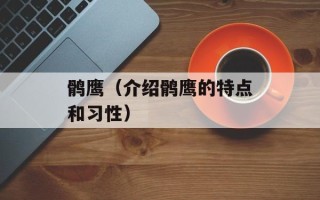 鹘鹰（介绍鹘鹰的特点和习性）