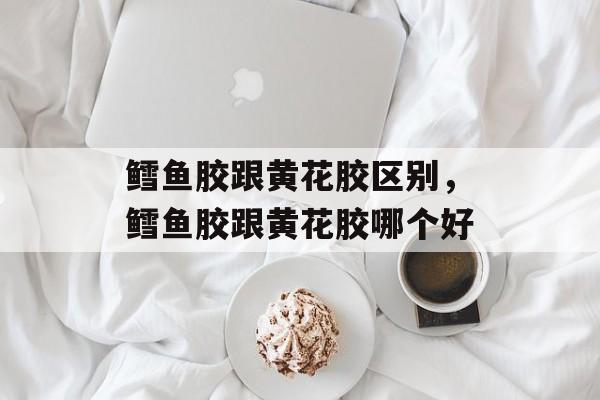 鳕鱼胶跟黄花胶区别，鳕鱼胶跟黄花胶哪个好-第1张图片-