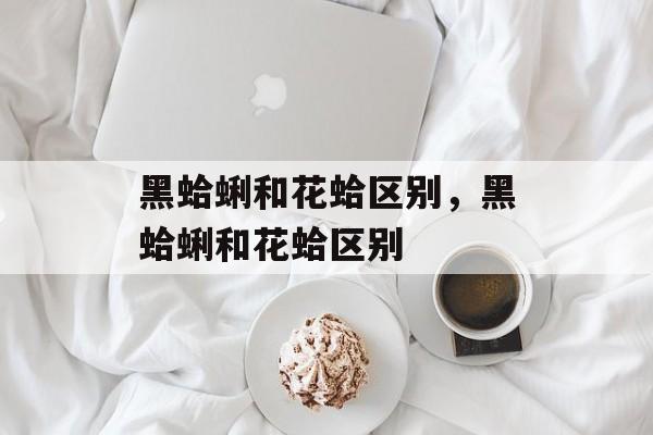 黑蛤蜊和花蛤区别，黑蛤蜊和花蛤区别-第1张图片-