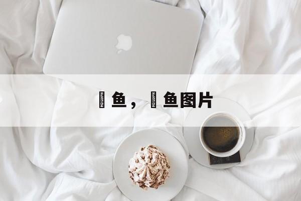 鳈鱼，鳈鱼图片-第1张图片-