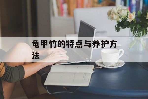 龟甲竹的特点与养护方法-第1张图片-