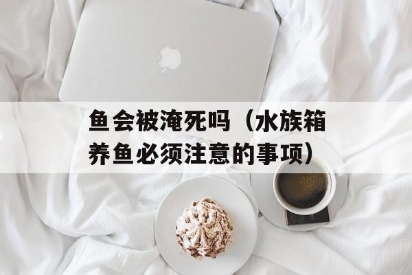 鱼会被淹死吗（水族箱养鱼必须注意的事项）-第1张图片-