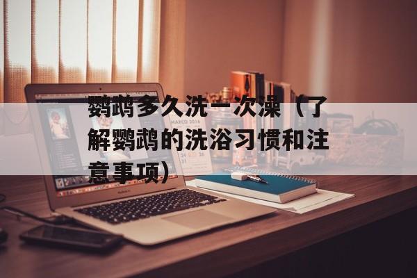 鹦鹉多久洗一次澡（了解鹦鹉的洗浴习惯和注意事项）-第1张图片-