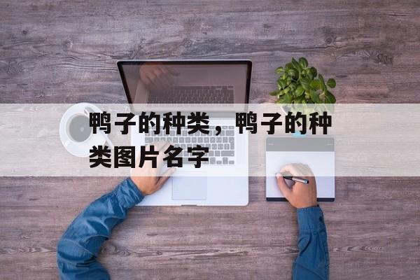 鸭子的种类，鸭子的种类图片名字-第1张图片-