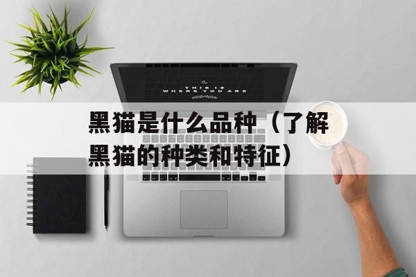 黑猫是什么品种（了解黑猫的种类和特征）-第1张图片-