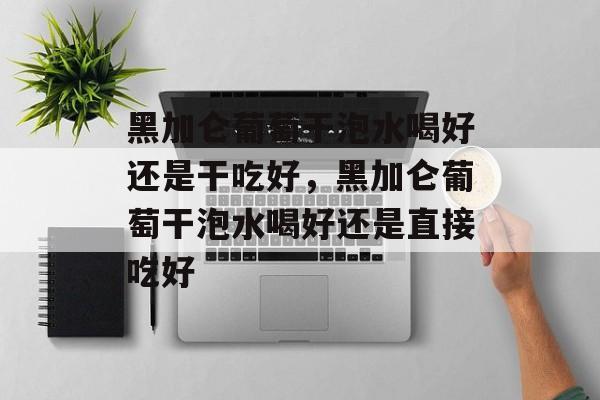 黑加仑葡萄干泡水喝好还是干吃好，黑加仑葡萄干泡水喝好还是直接吃好-第1张图片-