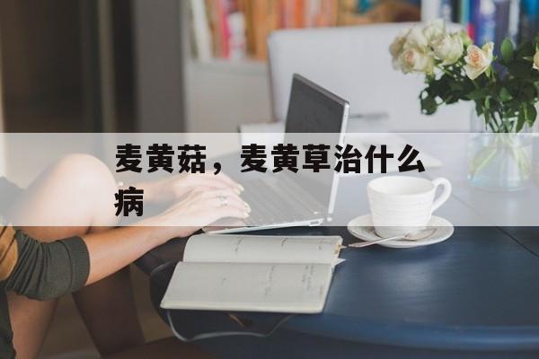 麦黄菇，麦黄草治什么病-第1张图片-
