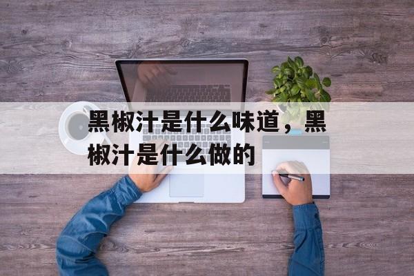 黑椒汁是什么味道，黑椒汁是什么做的-第1张图片-