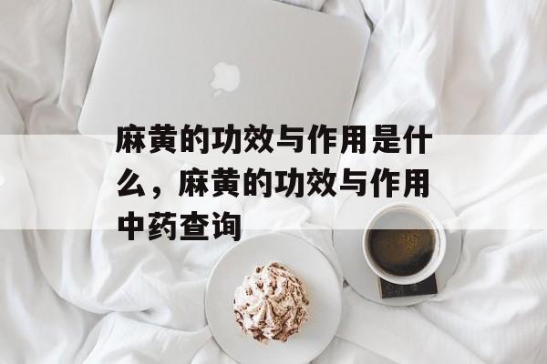 麻黄的功效与作用是什么，麻黄的功效与作用中药查询-第1张图片-
