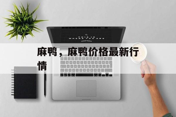 麻鸭，麻鸭价格最新行情-第1张图片-