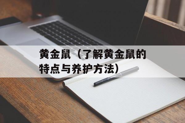 黄金鼠（了解黄金鼠的特点与养护方法）-第1张图片-