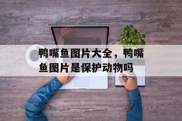 鸭嘴鱼图片大全，鸭嘴鱼图片是保护动物吗-第1张图片-