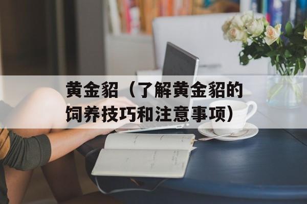 黄金貂（了解黄金貂的饲养技巧和注意事项）-第1张图片-