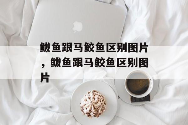 鲅鱼跟马鲛鱼区别图片，鲅鱼跟马鲛鱼区别图片-第1张图片-