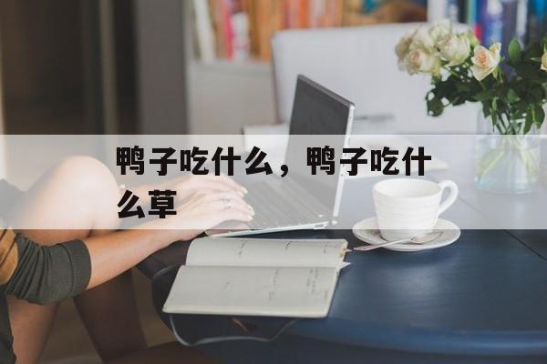 鸭子吃什么，鸭子吃什么草-第1张图片-