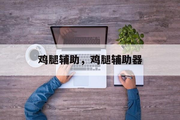 鸡腿辅助，鸡腿辅助器-第1张图片-