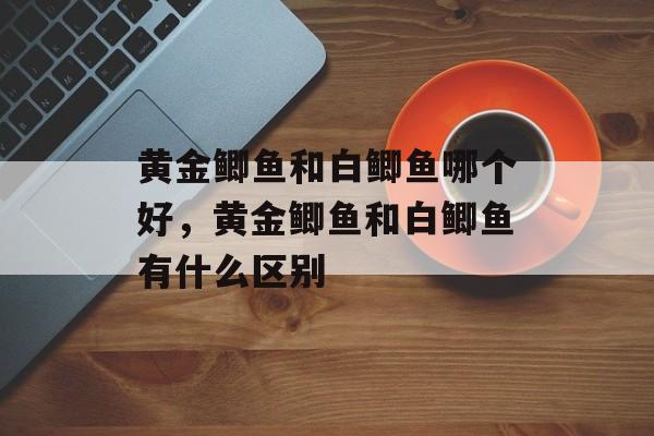 黄金鲫鱼和白鲫鱼哪个好，黄金鲫鱼和白鲫鱼有什么区别-第1张图片-