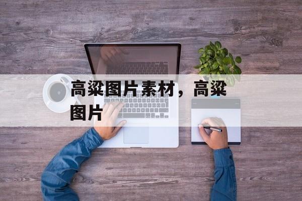 高粱图片素材，高粱 图片-第1张图片-