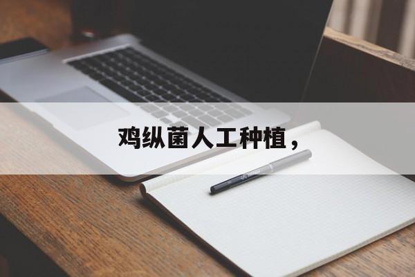 鸡纵菌人工种植，-第1张图片-