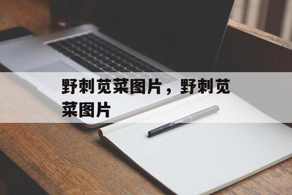 野刺苋菜图片，野刺苋菜图片-第1张图片-