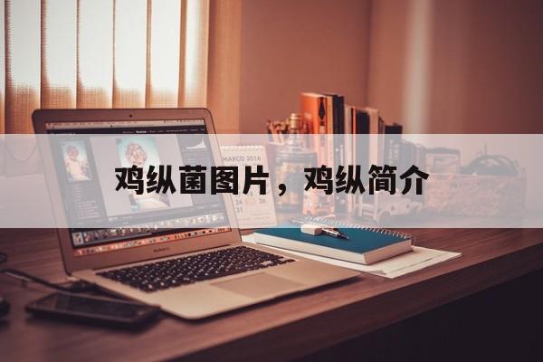 鸡纵菌图片，鸡纵简介-第1张图片-