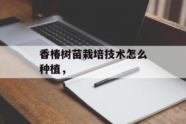 香椿树苗栽培技术怎么种植，-第1张图片-