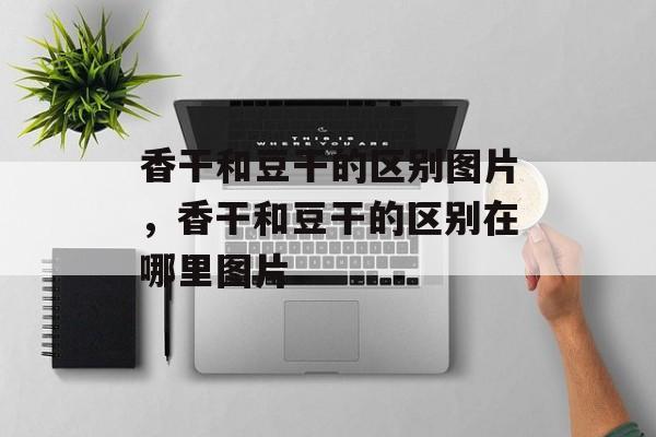 香干和豆干的区别图片，香干和豆干的区别在哪里图片-第1张图片-