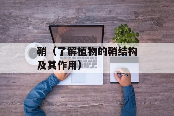 鞘（了解植物的鞘结构及其作用）-第1张图片-