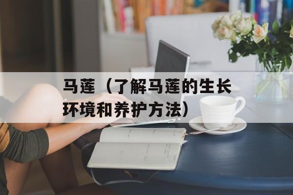 马莲（了解马莲的生长环境和养护方法）-第1张图片-