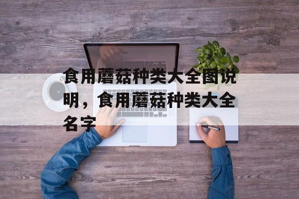 食用蘑菇种类大全图说明，食用蘑菇种类大全名字-第1张图片-