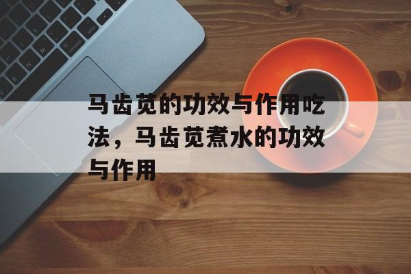 马齿苋的功效与作用吃法，马齿苋煮水的功效与作用-第1张图片-