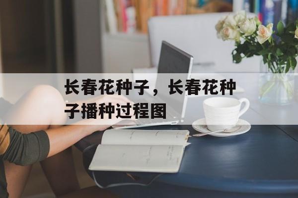 长春花种子，长春花种子播种过程图-第1张图片-