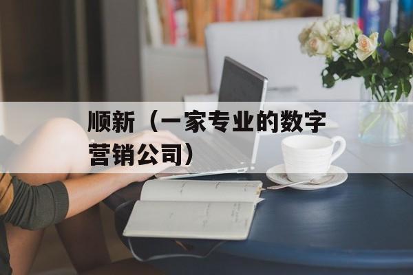 顺新（一家专业的数字营销公司）-第1张图片-