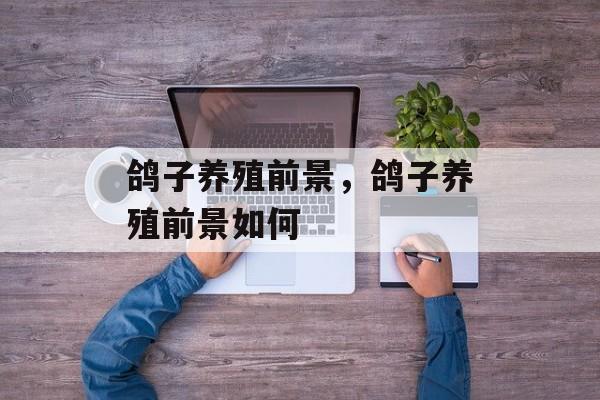 鸽子养殖前景，鸽子养殖前景如何-第1张图片-